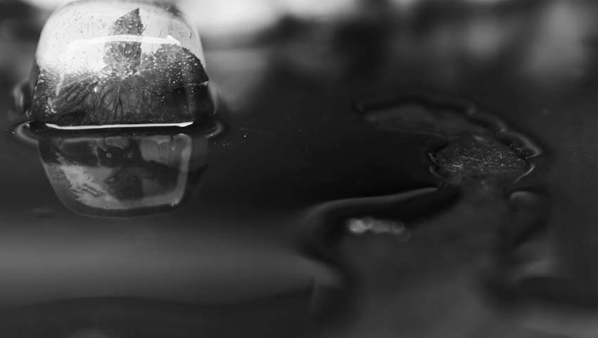 alyson technical environmental