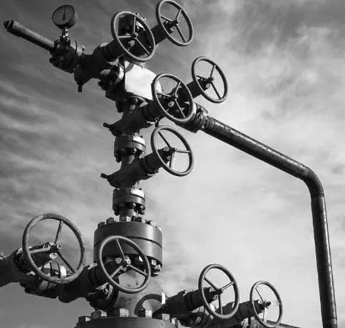 alyson technical wellhead